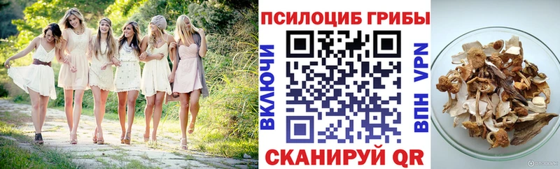 Псилоцибиновые грибы GOLDEN TEACHER  Орлов 
